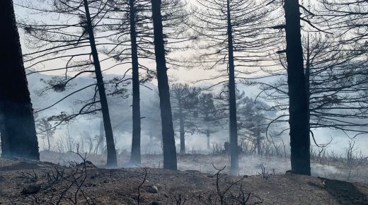 اقليم شفشاون ..السيطرة على حريق غابة تالسمطان بعد إلتهام 6.1 هكتار من الغطاء الغابوي