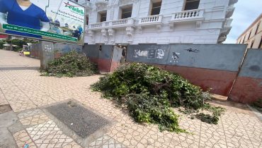 الجديدة..حين تسقط الأشجار بصمت “ساحة الحنصالي بين الأمس واليوم”