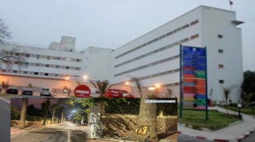 الجديدة ..حادثة سير مميتة خلال الساعات الاولى من صباح اليوم وسط المدينة