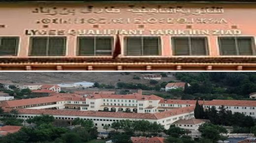 شراكات التخييم بالمؤسسات التعليمية.. أهداف نبيلة وتبعات غير محسوبة!