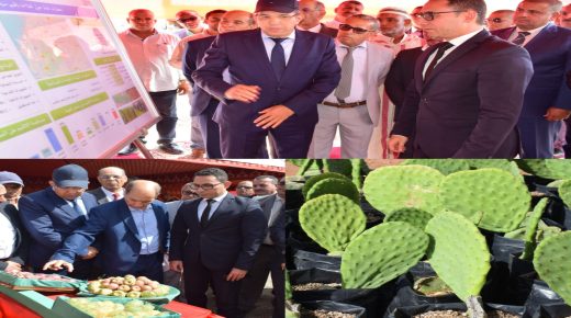 إقليم سيدي بنور.. إعطاء انطلاقة مشروع تعاوني لغرس وتثمين الصبار بجماعة تامدة بمناسبة عيد العرش