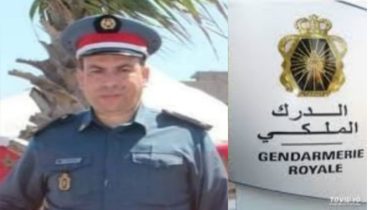 الدرك الملكي بأولماس يفكك شبكة إجرامية متورطة في السرقات