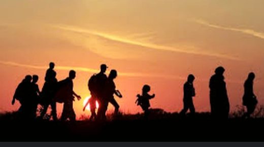 يوم المهاجر.. حين تُروى الحكايات عبر الحدود