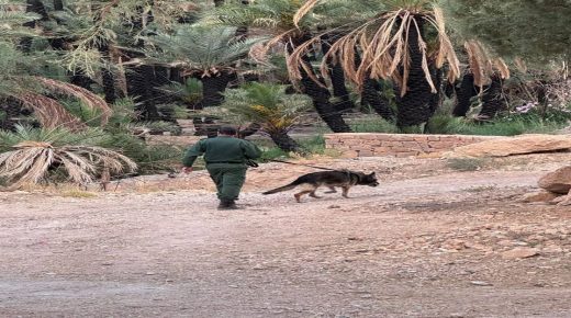 إقليم الرشيدية .. مطاردة أمنية واسعة بأوفوس لتوقيف مشتبه به يروع الساكنة بالاعتداءات والسرقات