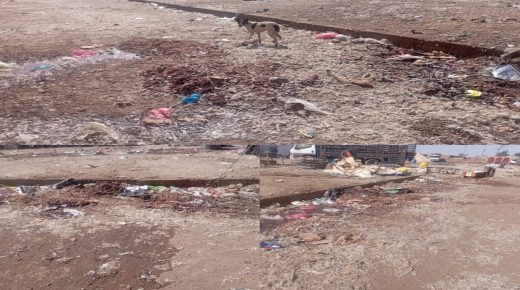 سيدي بنور.. تجار الدواجن بالسوق الأسبوعي يستنجدون بعامل الإقليم