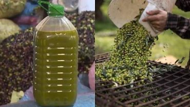 بعدما رخص ثمنها حاليا : حقيقة خلط زيت الزيتون بزيوت السيارات! ..كيف سترد “اونسا” ؟