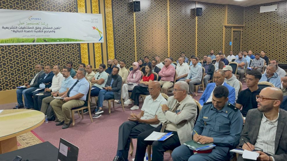 المكتب الوطني للسلامة الصحية للمنتجات الغدائية بجهة مراكش- اسفي ينظم ورشة جهوية بمراكش حول تأهيل المشاتل