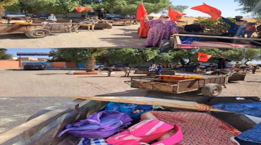 خريبكة.. غياب النقل المدرسي لأطفال مدرسة الفرج تُعوضه العربات المجرورة بالدواب