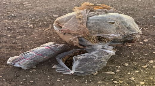 حزم ويقظة قائد المركز الترابي بجمعة سحيم تُثمر عملية نوعية ضد مروّجي المخدرات بالشويحات