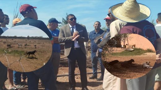 تدخل ناجح لقائد السوالم الطريفية يضع حداً لمعاناة ساكنة دوار الخلايف