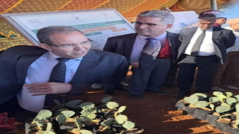 بولعوان تحتضن انطلاقة مشروع وطني لزراعة الصبار المقاوم للقرمزية