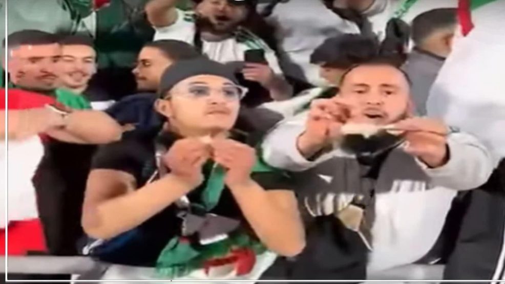 توقيف مشجع جزائري ذو جنسية بريطانية بعدما ظهر في شريط يمزق اوراقا نقذية