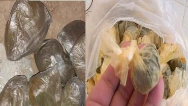 الدرك الملكي بكيكو اقليم بولمان يواصل عملياته لمحاربة الاتجار في المخدرات