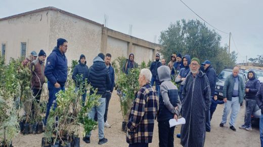 تازة: جمعية “بيرما ريف” توزع 1080 شتلة مثمرة بدوار “ثيزي اندرا”