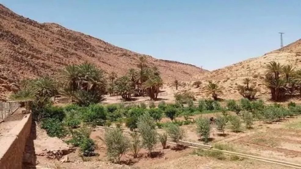 بيان استنكاري لجالية قصر ايش بفرنسا