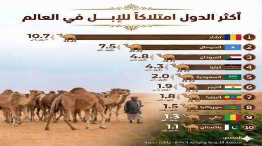 أكبر 10 دول في العالم تمتلك الإبل.. تعرف عليها