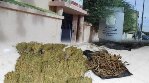 حملة أمنية ناجحة بكيكو ضد شبكات الاتجار في المخدرات