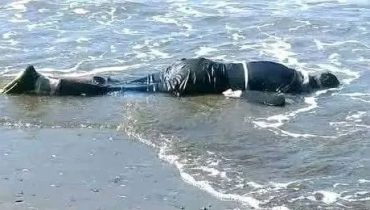 الحسيمة..العثور على جثة شاب في العشرينات من عمره تطفو على سطح البحر