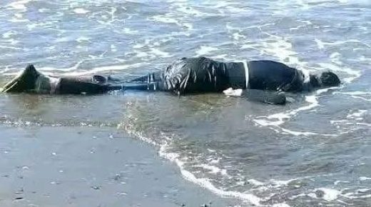 الحسيمة..العثور على جثة شاب في العشرينات من عمره تطفو على سطح البحر