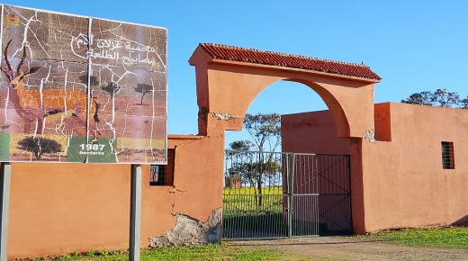 محمية الغزلان “آدم” بسيدي شيكر.. فضاء طبيعي بلا رمزية وطنية ومدخل لا يرقى لقيمته البيئية