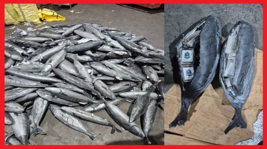 ميناء طنجة المتوسط ..احباط محاولة تهريب شحنة تقارب اربعة اطنان من المخدرات