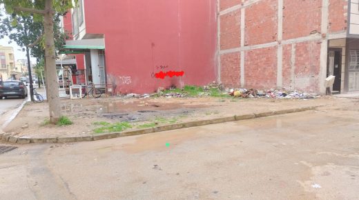 ويسلان مكناس .. وضع بيئي مزري بتجزئة السلامة