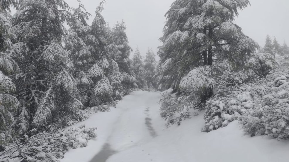 الثلوج تتلالأ على مرتفعات جبال الريف بكتامة ضواحي الحسيمة