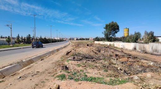 مكناس.. ماذا بعد وأد الحزام الأخضر ؟