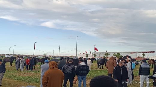 الفقيه بن صالح ..تداريب مكثفة لسرب التبوريدة بجهة بني ملال–خنيفرة استعدادًا لإقصائيات دار السلام 2026