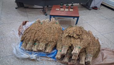 الدرك يُحبط ترويج المخدرات ببولعوان.. وحجز سيارة” تيكسون” محملة بـ30 كلغ من الكيف