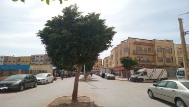 خريبكة.. السلطات المحلية تتحرك لتنظيم الباعة الجائلين بمحيط سوق “لمتريف” بحي النهضة