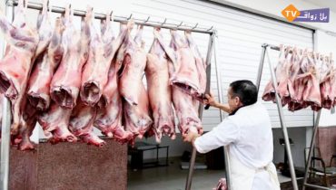 غلاء اللحوم بمدينة الجديدة يثقل كاهل الأسر مع اقتراب عيد الأضحى ومطالب بتدخل عاجل لضبط الأسعار