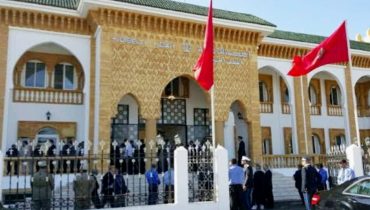 الجديدة..إحالة ملف اقتلاع أشجار ساحة الحنصالي على القضاء تفتح ملفًا ساخنًا حول تدبير الفضاءات العمومية