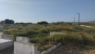 سوق أربعاء الغرب..مقبرة سبعة رجال  بين الإهمال وغياب العناية