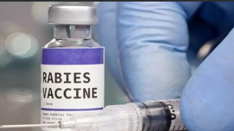 الخميسات.. تعميم اللقاح والمصل ضد داء السعار  لتعزيز الوقاية بالعالم القروي