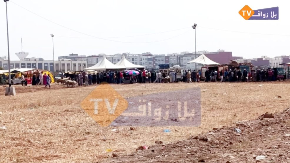 ارتفاع تسعيرة الصنك ينعكس سلبا على مربي الأغنام بمدينة الجديدة ويقلص الإقبال على الرحبة