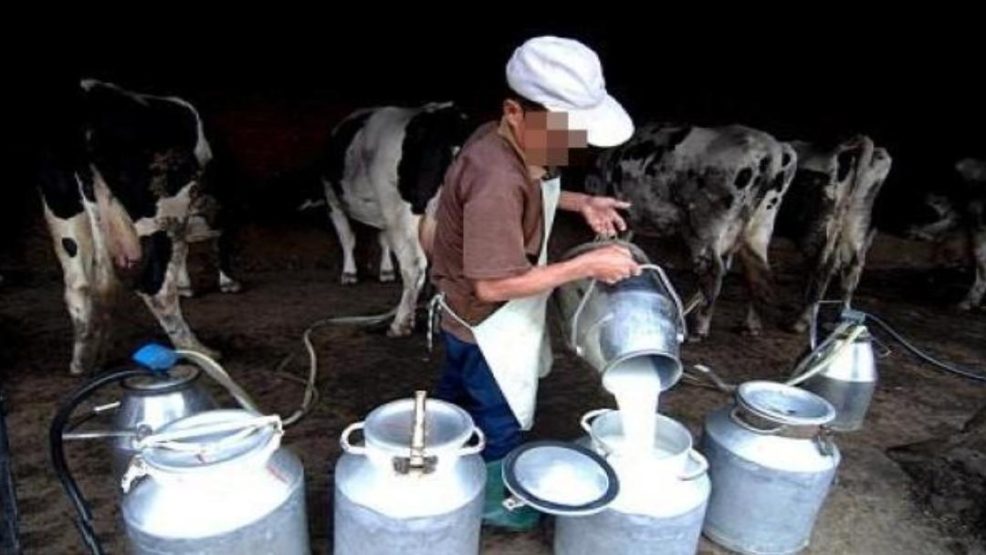 أولاد رحمون.. لقاء تشاركي حول قطاع الحليب واكراهات المهنيين
