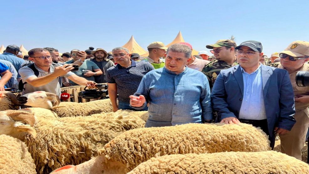 أكادير..زيارة والي جهة سوس ماسة لرحبة بيع الأضاحي بتكوين