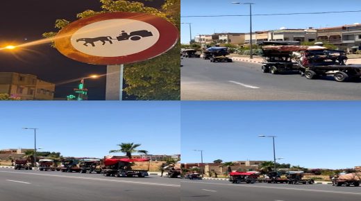 أبي الجعد..أصحاب العربات المجرورة يحتجون ويطالبون بمراجعة قرارات المنع