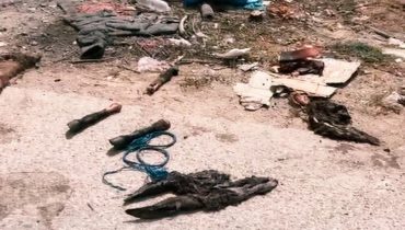 أكادير..العثور على بقايا حمار مسلوخ بغابة مجاورة لحي تدارت أنزا العليا