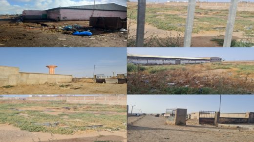 مجزرة سيدي بنور بأكبر سوق أسبوعي بالمغرب.. روائح كريهة ومياه عادمة تؤرق الساكنة في ظل مطالب بالتدخل