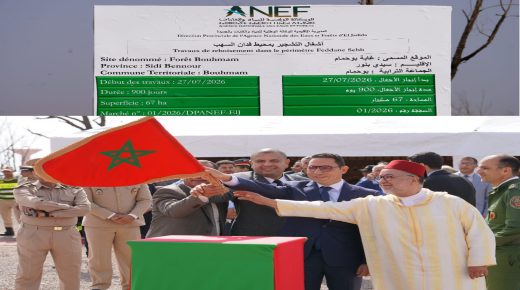 بعد عقود من الإهمال.. غابة بوحمام بإقليم سيدي بنور تستعيد الأمل في العودة إلى سابق عهدها