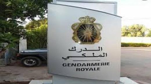الدرك الملكي بالبهاليل يفك لغز سرقة أغنام من ضيعة فلاحية بضواحي المدينة