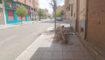 وجدة.. مخلفات شجرة تعيق الراجلين بشارع أحفير