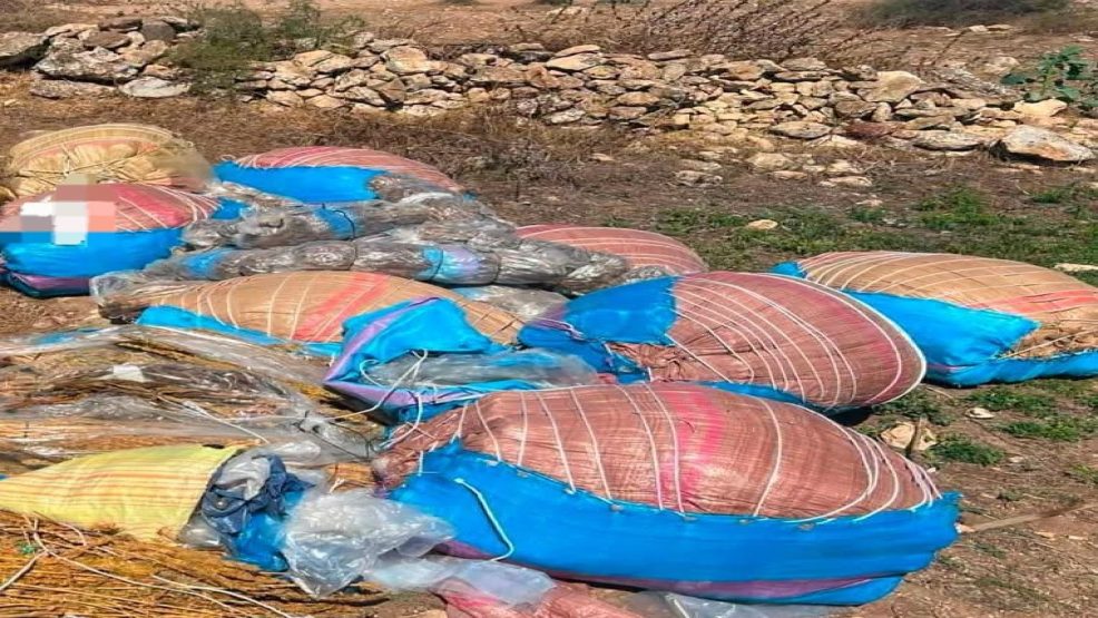 إحباط محاولة ترويج 426 كيلوغرام من المخدرات بأولاد فرج