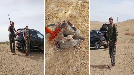 جمعية أولاد بوعلي للقنص بسيدي شيكر.. تفتتح موسم القنص في أجواء مميزة