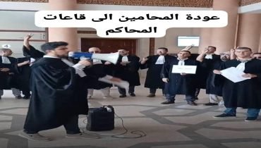من التوقف إلى التعليق المؤقت.. أين تتجه أزمة المحامين؟