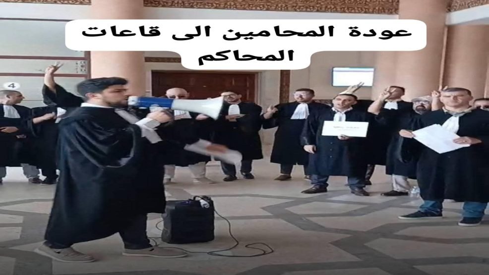 من التوقف إلى التعليق المؤقت.. أين تتجه أزمة المحامين؟