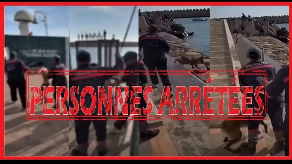 أكادير.. إحالة شخصين على العدالة للاشتباه في تعنيف قاصر وتحريض كلب شرس على أطفال