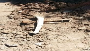 الحسيمة.. ظهور عظام بشرية بمحاذاة مقبرة قديمة ببني بوفراح خلال أشغال تهيئة الطريق يثير استياءً محلياً